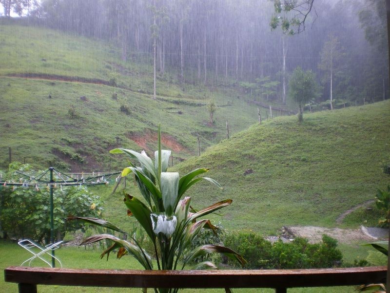 Thumb Creek NSW 2447