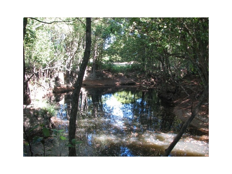 66 Simpsons Ridge Rd, South Arm NSW 2449