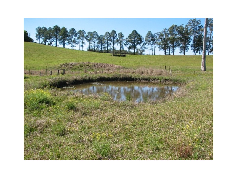 66 Simpsons Ridge Rd, South Arm NSW 2449