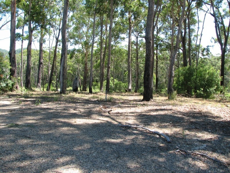 Scotts Head NSW 2447
