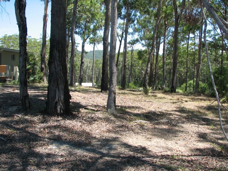 Scotts Head NSW 2447
