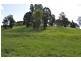 85 Dyers Loop Rd, Bowraville NSW 2449