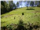 Macksville NSW 2447