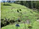 Macksville NSW 2447