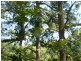 Macksville NSW 2447