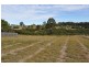 Lot 21 Eungai Creek Road, Eungai Creek NSW 2441