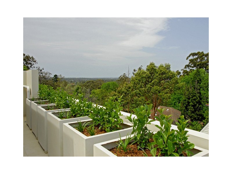 1/2 Fiddens Wharf Rd, Killara NSW 2071