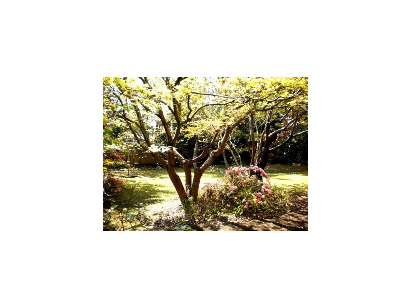 1 Carinya Road, Pymble NSW 2073