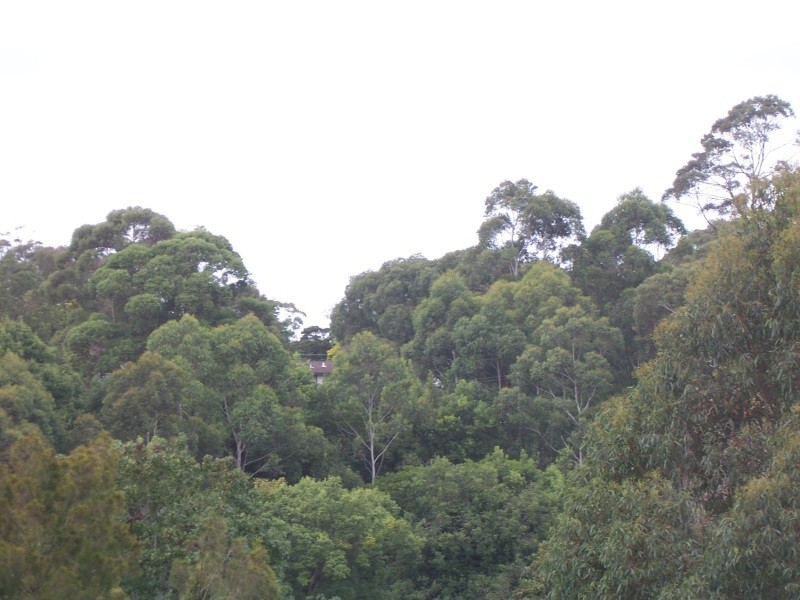 18/2 Jersey Street, Turramurra NSW 2074