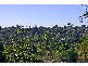110 Springdale Rd, Killara NSW 2071