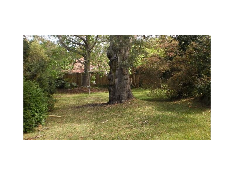 137 Springdale Rd, East Killara NSW 2071