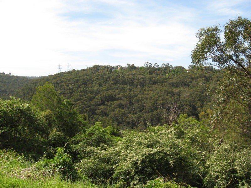 102d Wellington Rd, Lindfield NSW 2070