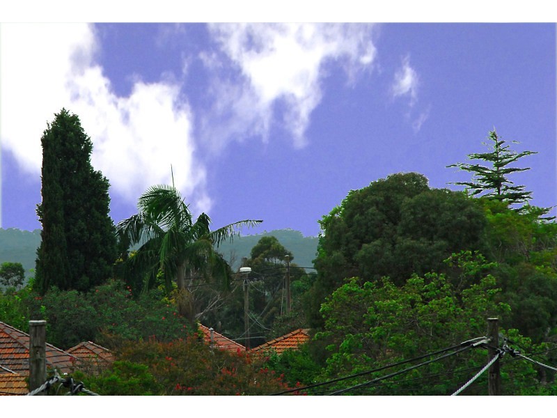 311 Penshurst, Willoughby NSW 2068