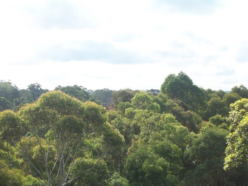 33/2-6  Bundarra Ave., Wahroonga NSW 2076