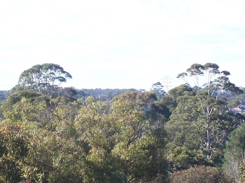 Killara NSW 2071