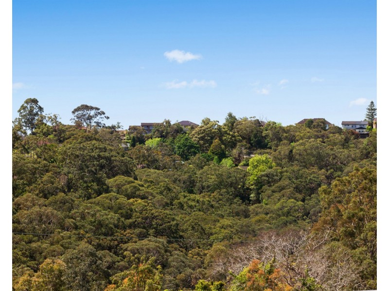 1 Monmouth Avenue, East Killara NSW 2071