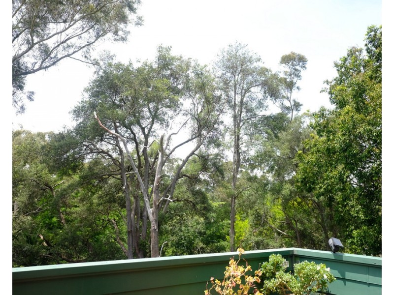 29/67 Stanhope Rd, Killara NSW 2071