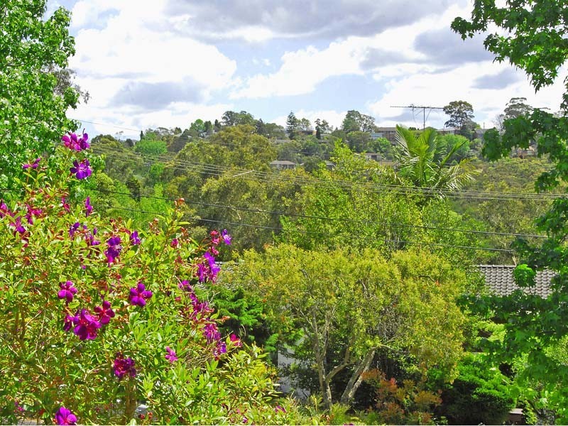 4 Whitney Street, East Killara NSW 2071