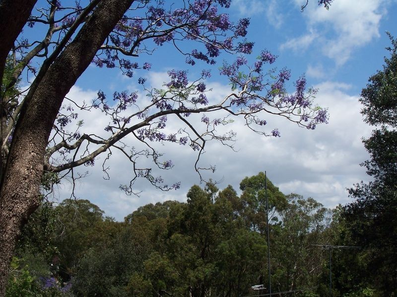 88 Gordon Crescent, Lane Cove NSW 2066