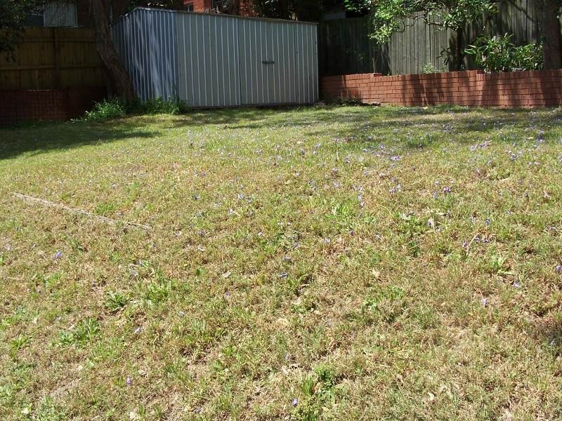 88 Gordon Crescent, Lane Cove NSW 2066