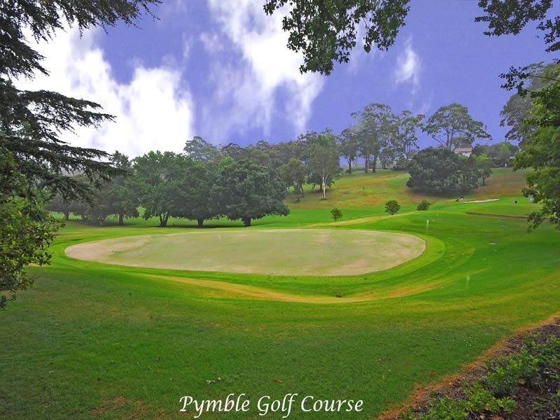 39b Pentecost Ave, Pymble NSW 2073