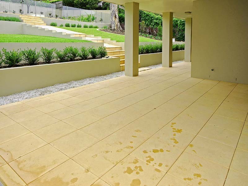 5 Larchmont Ave, East Killara NSW 2071