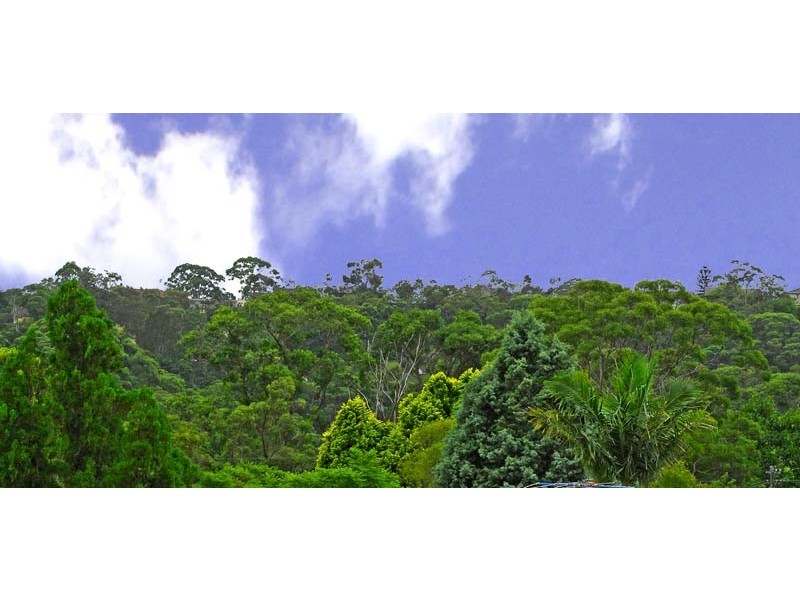 5 Larchmont Ave, Killara NSW 2071