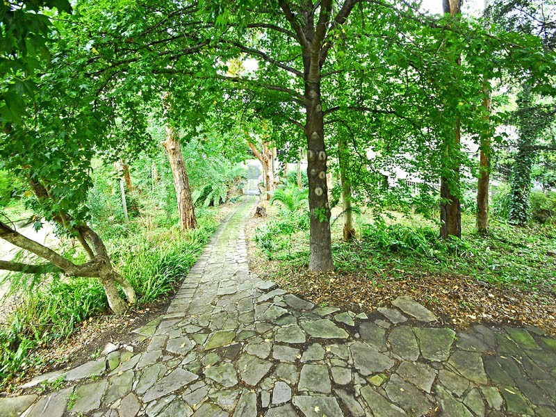 21 Livingstone Ave, Pymble NSW 2073