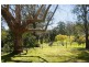 77  Pentecost Ave, Pymble NSW 2073