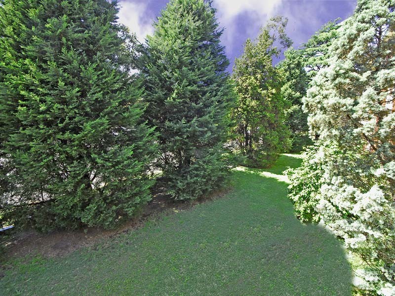 1/614 Pacific Highway, Chatswood NSW 2067