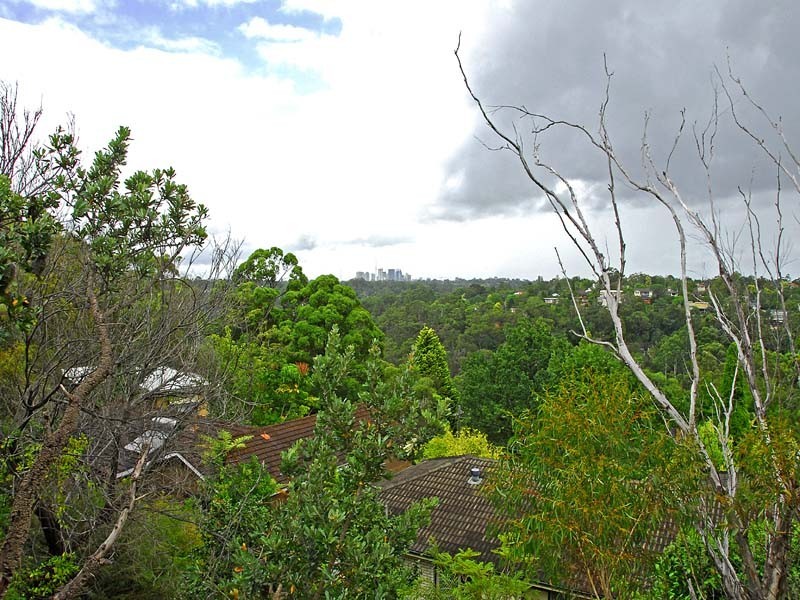 19 BARRIE STREET, Killara NSW 2071