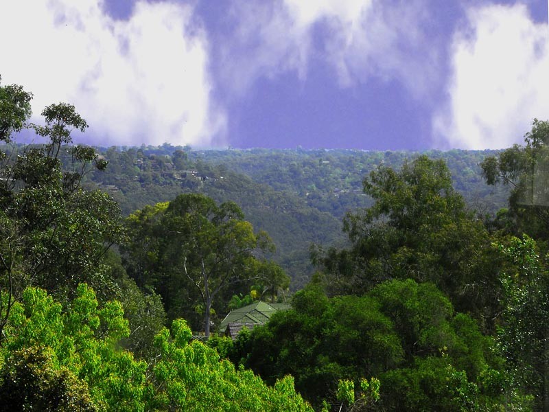 49 Aranda Drive, Davidson NSW 2085