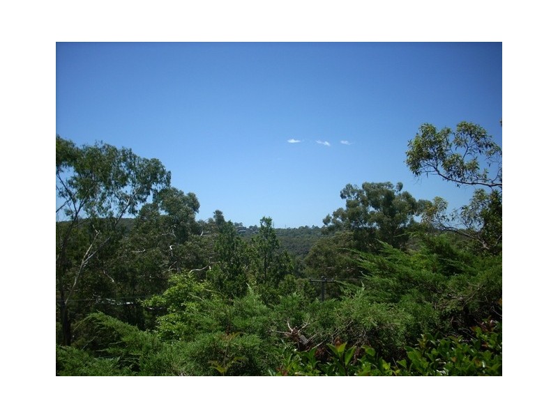 54 Melaleuca Drive, St Ives NSW 2075