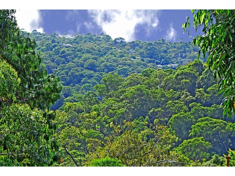 14 Canberra Crescent, Lindfield NSW 2070