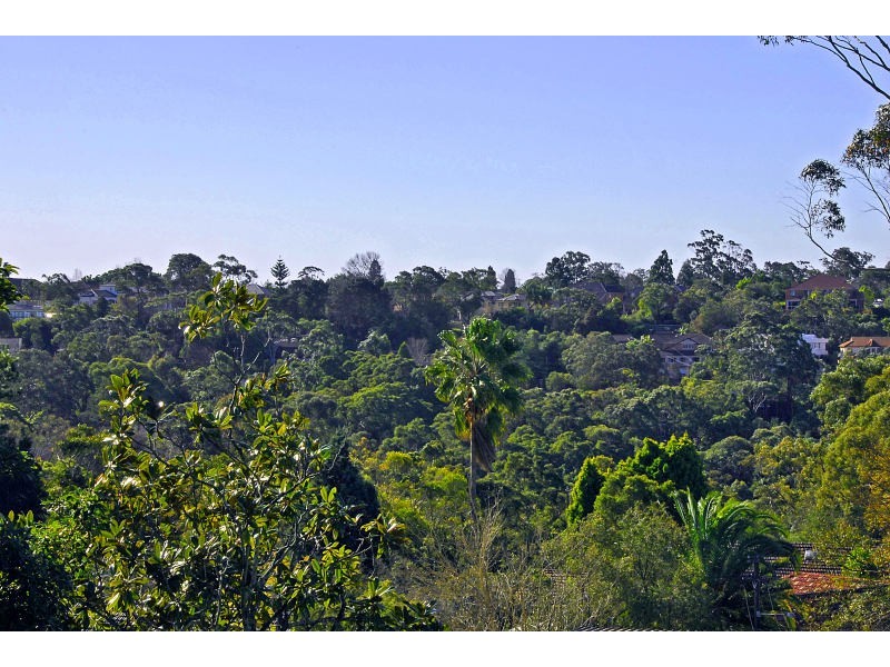 110 Springdale Rd, Killara NSW 2071