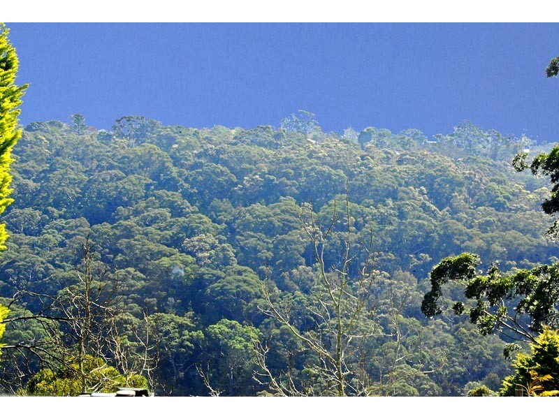 73 Robinson St, East Lindfield NSW 2070