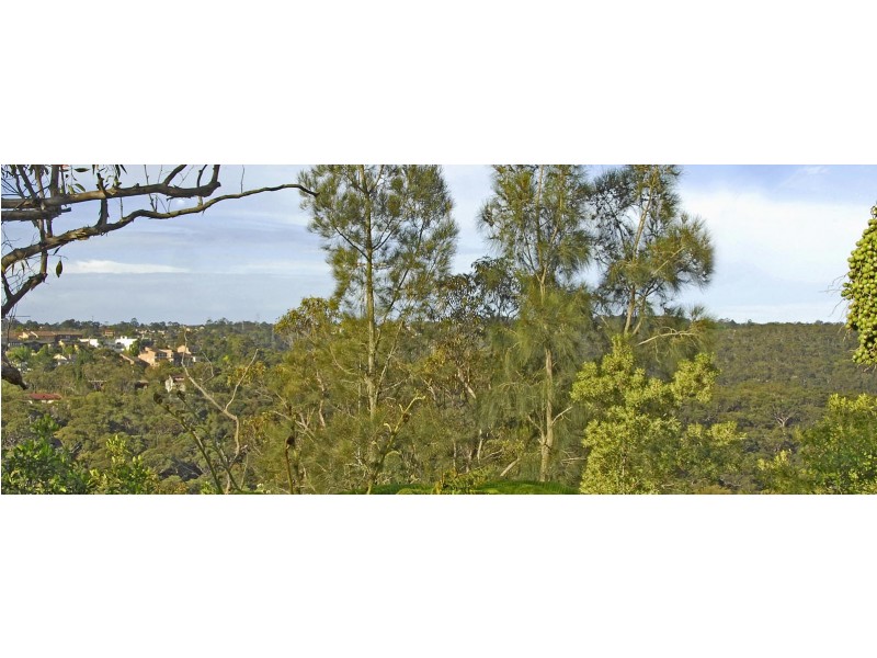 50 Barrie Street, Killara NSW 2071