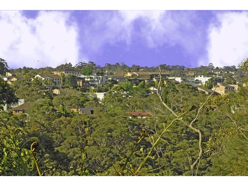 50 Barrie Street, Killara NSW 2071