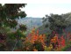 Killara NSW 2071