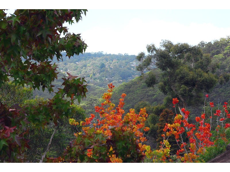 Killara NSW 2071