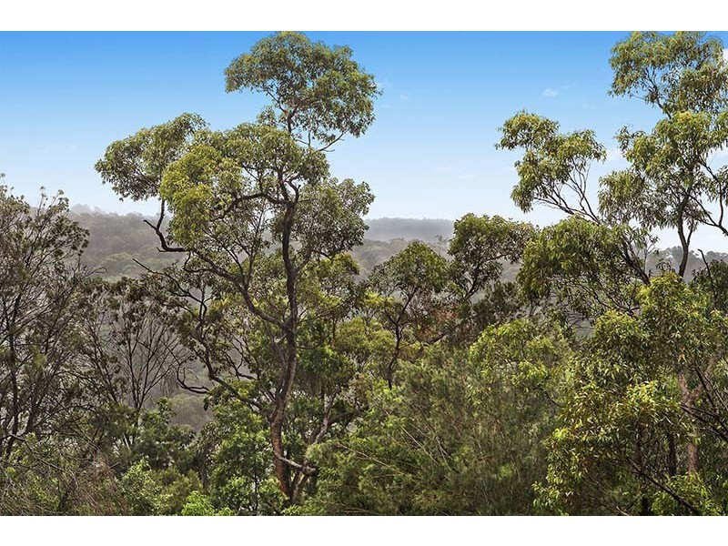 49 Kimberley St, East Killara NSW 2071