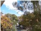 14/8-14 Ellis St, Chatswood NSW 2067