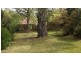 137 Springdale Rd, East Killara NSW 2071