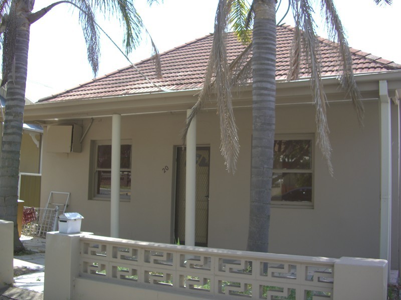 20 SUSAN STREET, Auburn NSW 2144