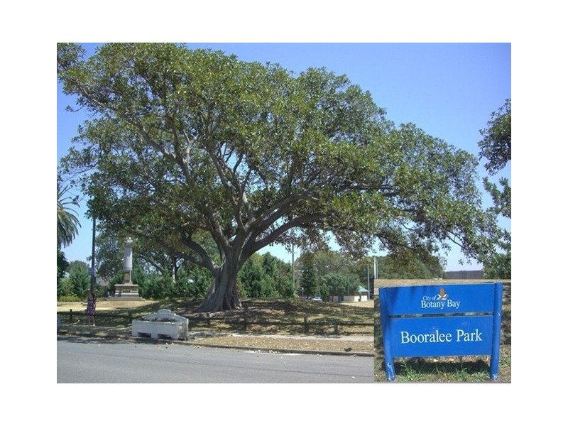 1 IVY STREET, Botany NSW 2019