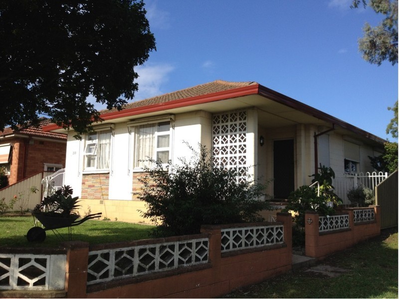 213 HECTOR STREET, Sefton NSW 2162