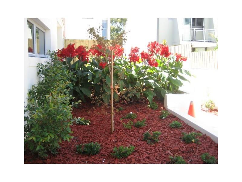 1 IVY STREET, Botany NSW 2019