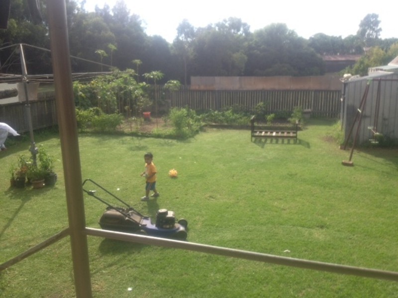 257 CLYDE ST, Granville NSW 2142