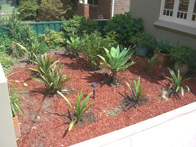 5 CARDIGAN STREET, Auburn NSW 2144