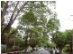 25 CECIL STREET, Ashfield NSW 2131